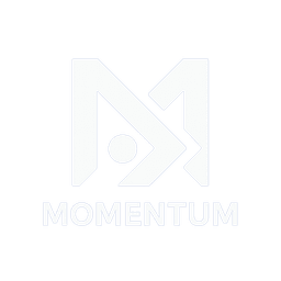 Momentum
